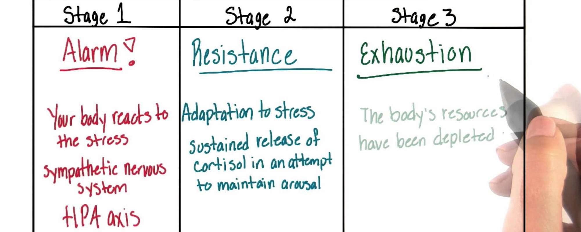 GAP-system---stages-edited